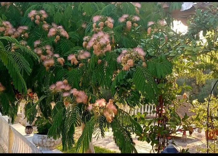 דירה Kalimera *